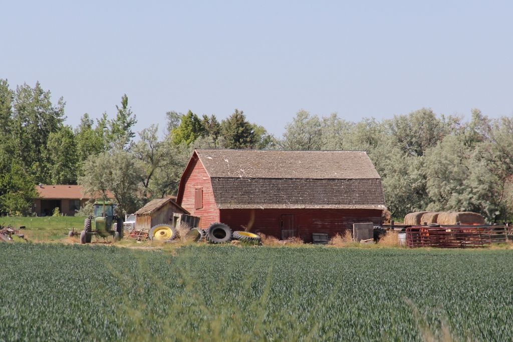 Barn